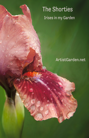 Read Online The Shorties: Irises in my Garden (ArtistGarden.net # 3) - Joanne McKinnon file in PDF