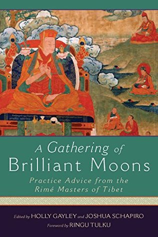 Download A Gathering of Brilliant Moons: Practice Advice from the Rime Masters of Tibet - Holly Gayley | ePub