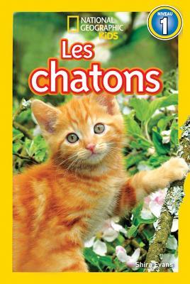 Download National Geographic Kids: Les Chatons (Niveau 1) - National Geographic Society | ePub