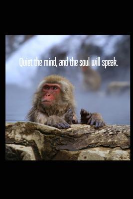 Read Online Quiet the Mind, and the Soul Will Speak: Japanese Snow Monkey 6x9 Inch Lined Journal/Notebook - A Beautifully Photographed Snow Monkey in Japan - Pup the World | ePub