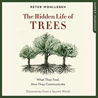 Full Download The Hidden Life of Trees: What They Feel, How They Communicate; Discoveries from a Secret World - Peter Wohlleben file in PDF